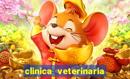 clinica veterinaria cuidar betim